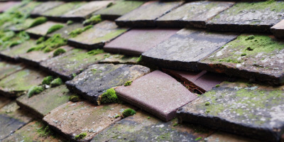 Raglan roof repair costs